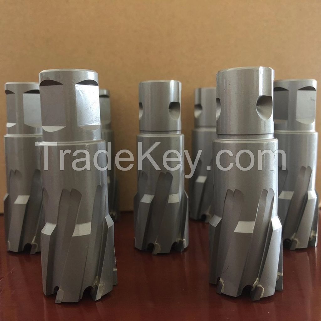 Carbide tipped magnetic core drill bit