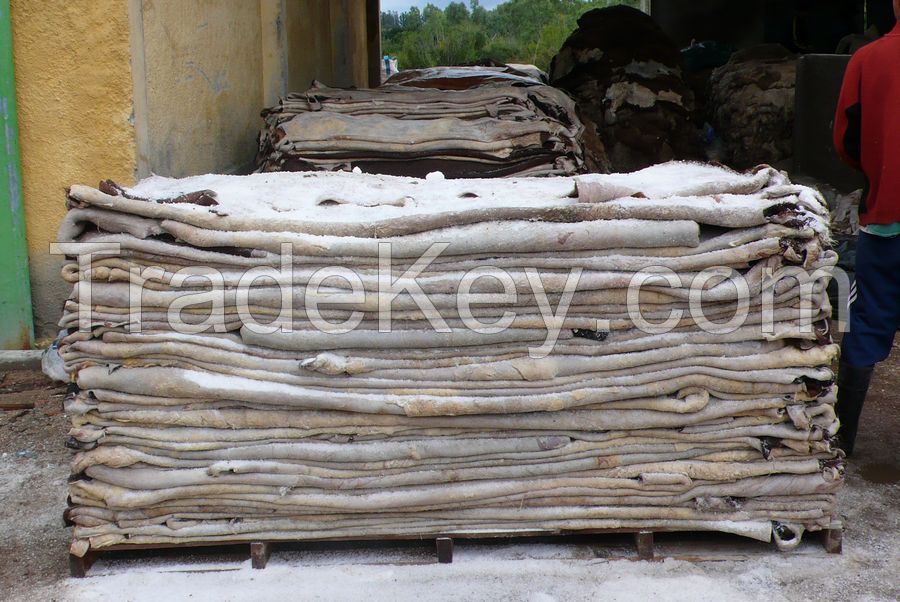 Dry and Wet Salted Donkey/Horse Hides/Wet Cow Hides