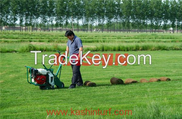 China SOD Cutter, Turf Cutter, Lawn Cutter with Good Price for Sale