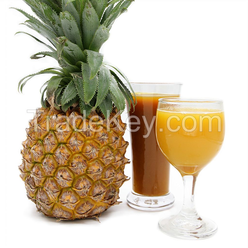 pineapple juice concentrate in drums