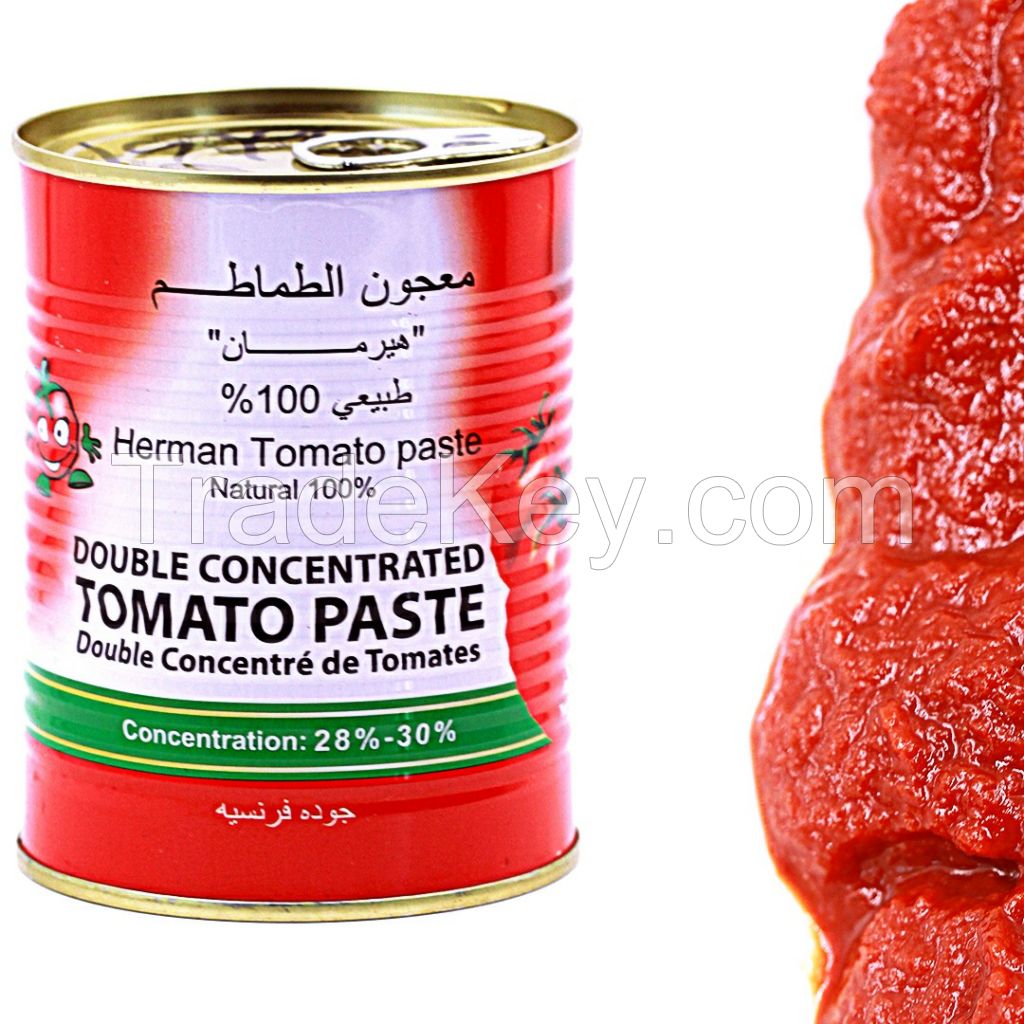 Fresh tomato paste in tin 400g