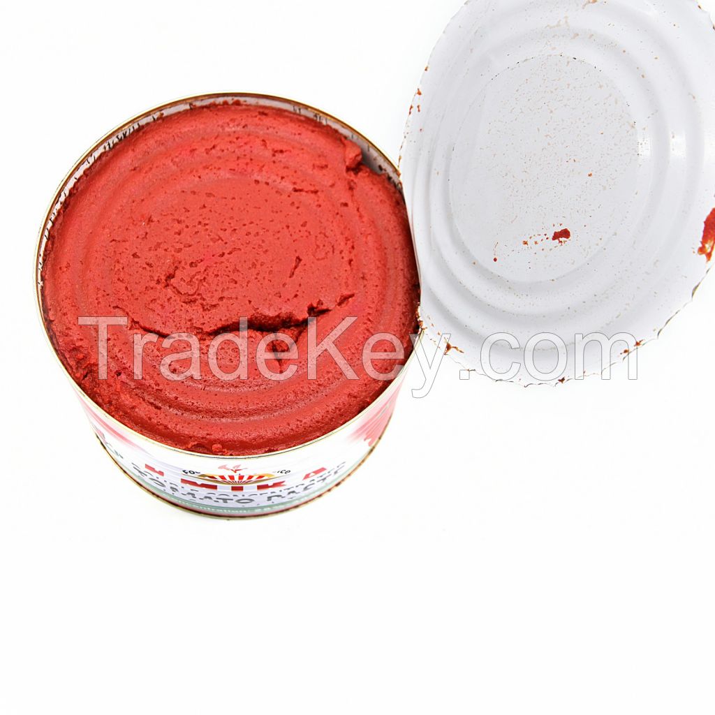 canned tomato paste 18-20%