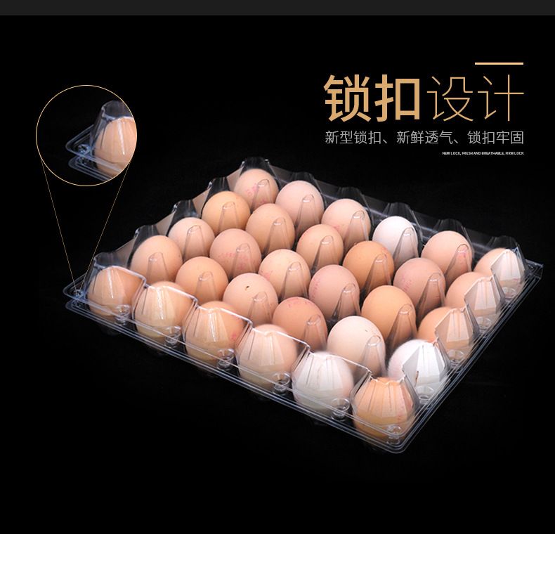 30pcs Egg Tray, 30's Egg Box, 30cts Egg Carton, egg packs, egg crates, egg container