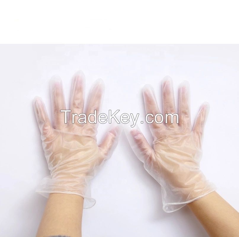 Disposable Powder and Powder Free PVC Gloves for Beauty/Nail/Hair