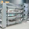 RETECH design automatic battery cages system for pullet