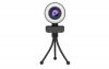 HD camera with LED lights, High resolution webcam for online meetings, video calls, live broadcasting and game streaming 