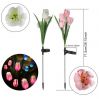 4LED Multi-color Changing Solar Tulip Stake Lights For Garden, Patio, Backyard