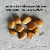 China Yellow Pebble Stone Tile Colored River Stone For Landscaping