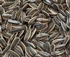 sunflower seeds China ...