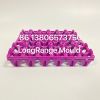 Plastic poultry equipment mould egg tray mould