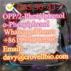 CAS 90-43-7 2-Phenylphenol / o-Phenylphenol / OPP supplier