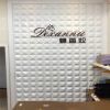 3D pvc wall panel