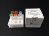 Covid-19 Nucleic Acid Test Kit SARS-CoV-2 rapid test kit (RT PCR method)