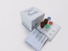Covid-19 Nucleic Acid Test Kit SARS-CoV-2 rapid test kit (RT PCR method)