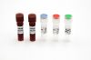 Covid-19 Nucleic Acid Test Kit SARS-CoV-2 rapid test kit (RT PCR method)