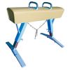 Top Quality FIG Standard Gymnastic Vaulting Horse