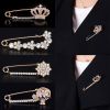 Crystal crown brooch pins