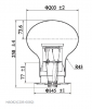 Large-area Microchannel plate photomultiplier tube（MCP-PMT）
