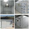 Meat Freezer Cold Storage Room Price For Meat And Fish