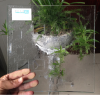 Formed Pattern Toughen Glass for Decorative Shower Enclosure