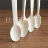 Disposable ice cream s...