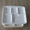 Biodegradable Food Pac...
