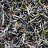 Organic Green Tea #2, ...