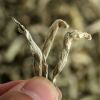 Wholesale Chinese Heal...
