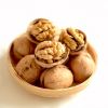 Wholesale Bulk Chineses Top Quality Organic 185 Dried Xinjiang Walnut