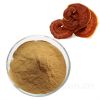 Wholesale Organic Ganoderma Extract, main functions of Ganoderma extract, Reishi mushroom Extract