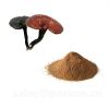 Wholesale Organic Ganoderma Extract, main functions of Ganoderma extract, Reishi mushroom Extract