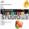 fine quality China Phoenix 12 colors 12ml Oil paint set oil colour for promotion