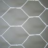 Hexagonal Network Wire Mesh Galvanized Mesh High Quaility