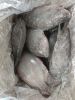 Frozen tilapia whole r...