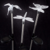 Solar Clear Butterfly Dragonfly Hummingbird Stakes Set