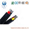 Feiya 0.6/1kv XLPE Insulated PVC Sheathed Power Cable Yjv/Yjlv/Yjv22/Yjlv22