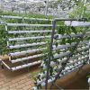 OMANA Hydroponic NFT C...