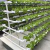 OMANA Hydroponic NFT C...