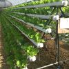 OMANA Hydroponic NFT C...