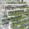 OMANA Hydroponic NFT C...