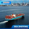 sea freight shanghai t...