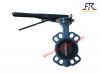Clamp Rubber lined soft Seal Butterfly Valve with lever