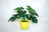 High Quality Artificial Plant Photography Props Real Touch Latex Turtle Leaf