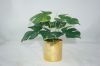 High Quality Artificial Plant Photography Props Real Touch Latex Turtle Leaf