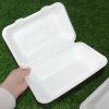 9*6 Inches Clamshell Takeout Food Containers Sugarcane Bagasse Lunch Box