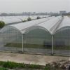 Tunnel farming plastic...