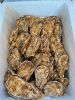 Fresh oyster(Pacific o...