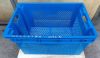 Plastic Crate Mould