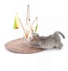 Interactive Toys Cats Application Cat Wand Cat Toys