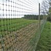 Orchard Tree Bird Protection Net